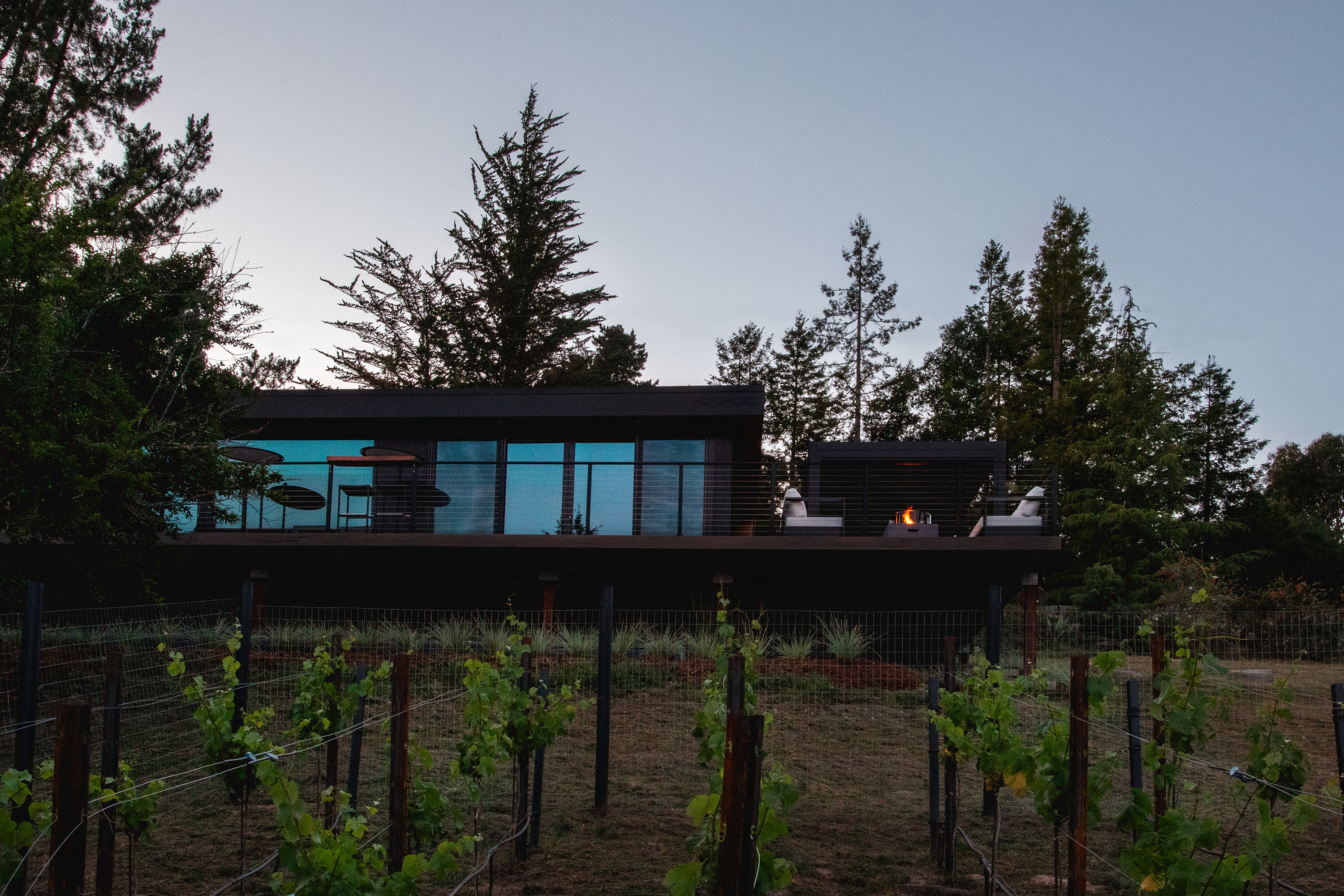exterior-vineyard