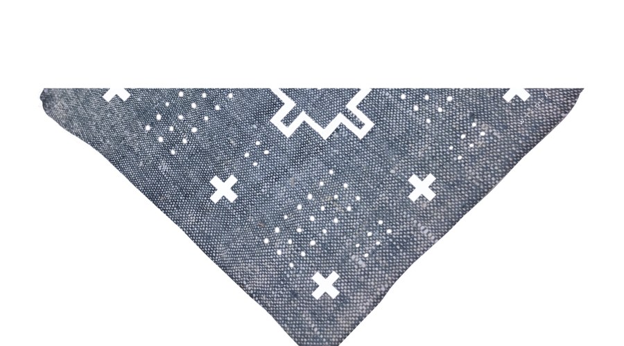 accessory-extraordinaire