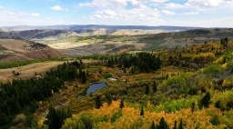 Wyoming Fall Color