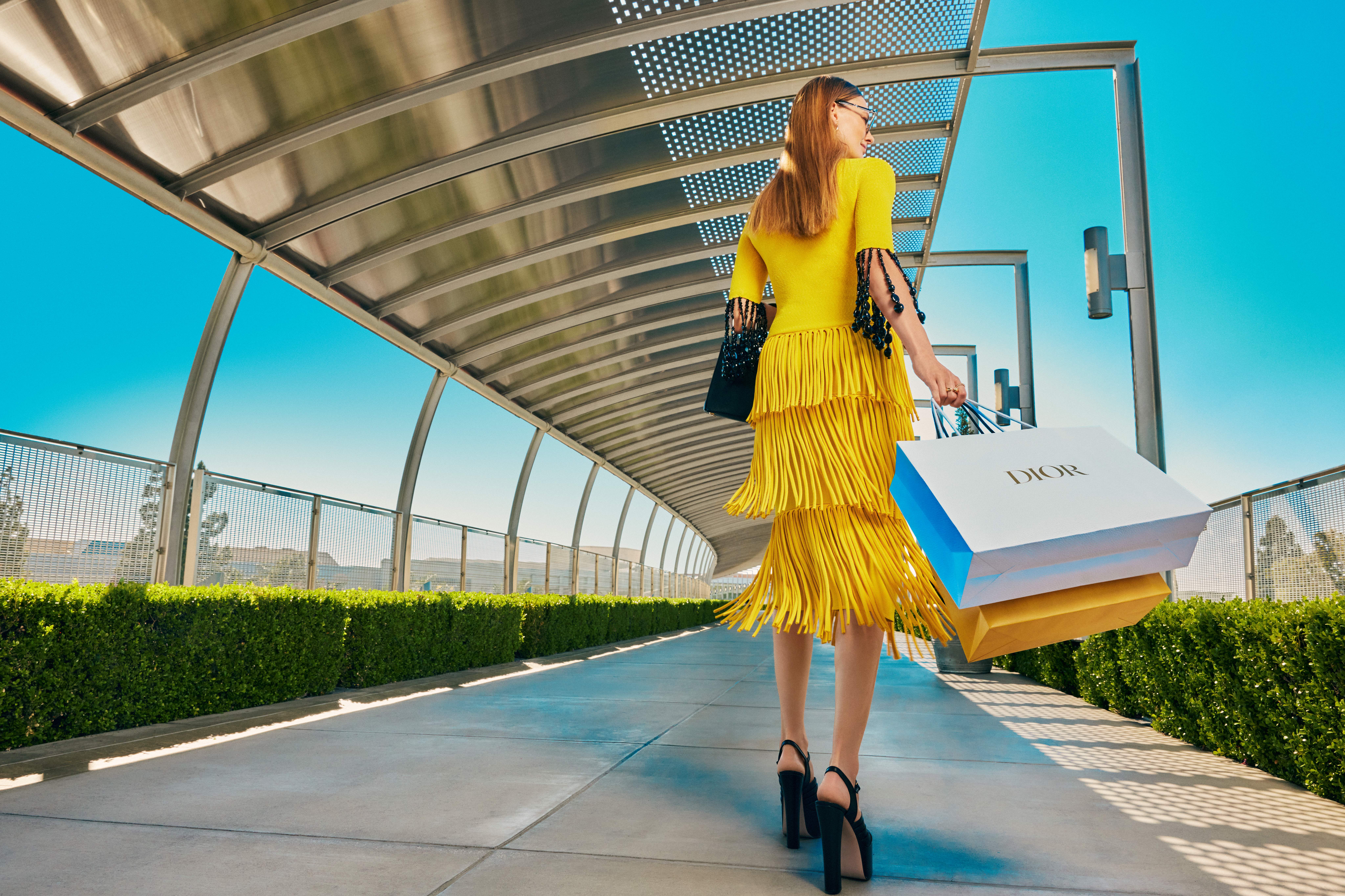 a-successful-shopper-crosses-south-coast-plazas-bridge-of-gardens