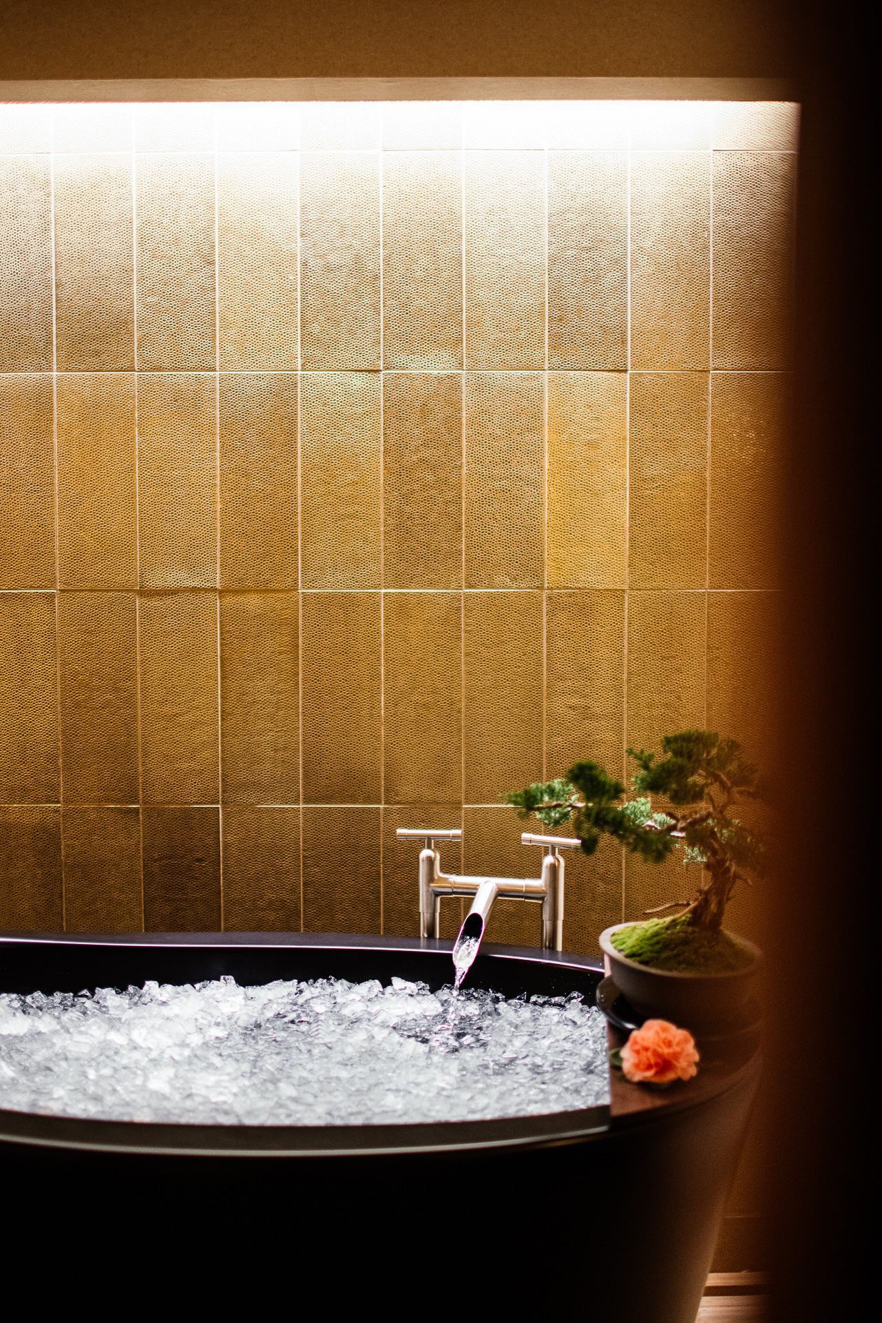 bathhouse-ice-bath