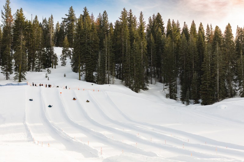 Twain Harte, California