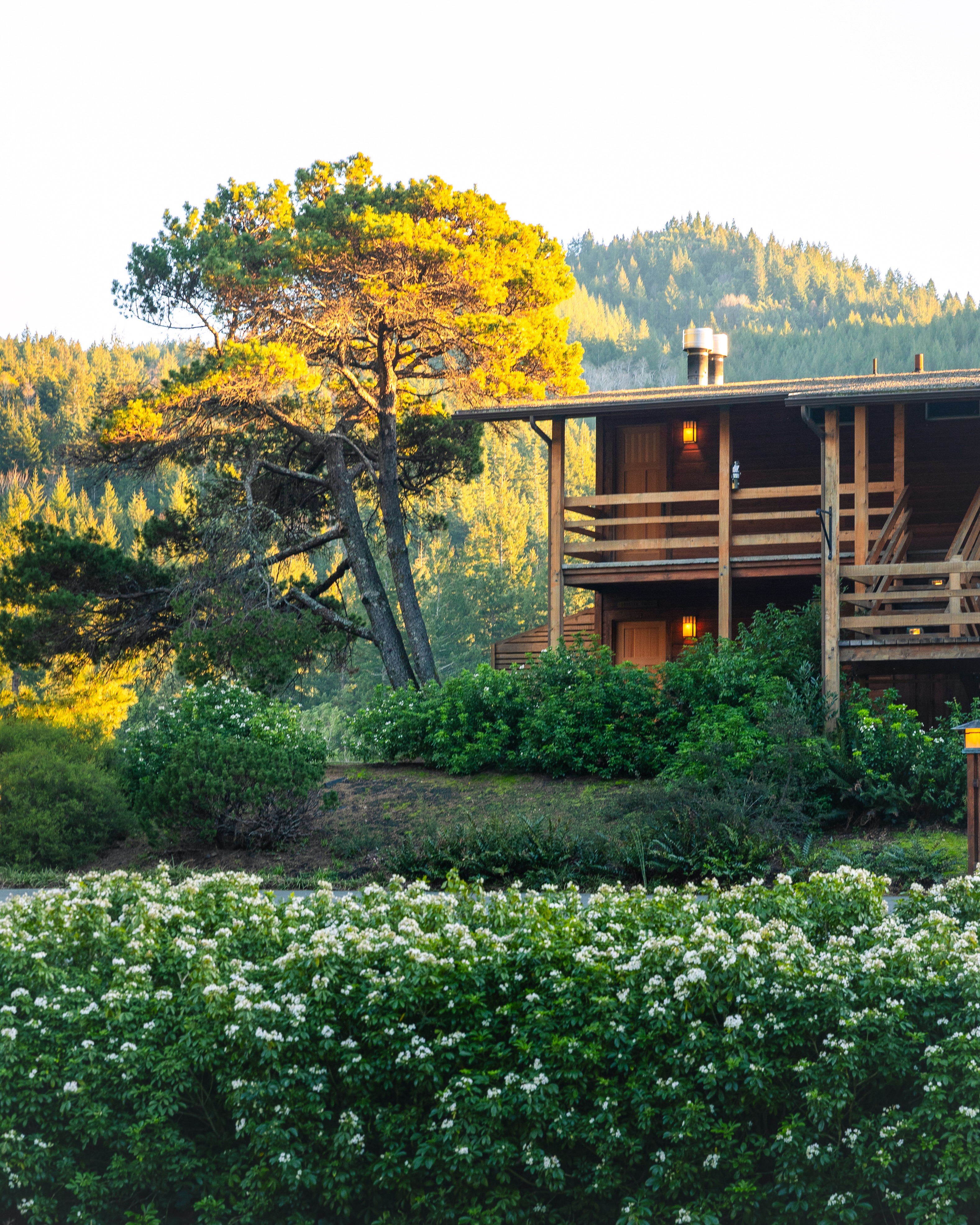 main-lodge-rooms