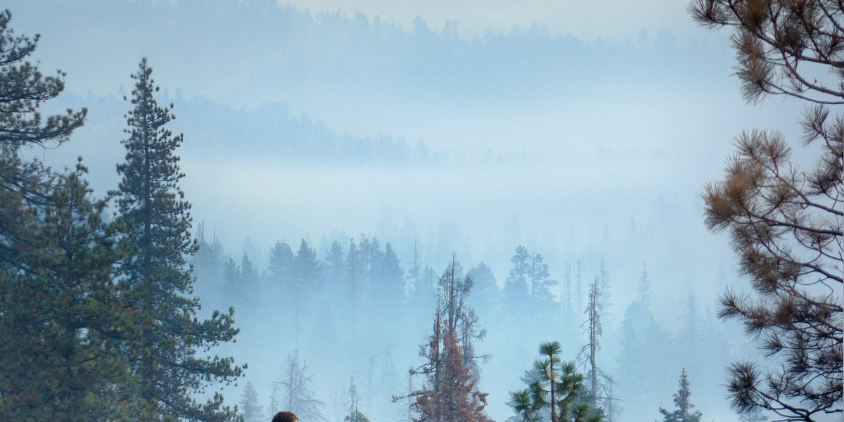 Yosemite Views by Motorcycle