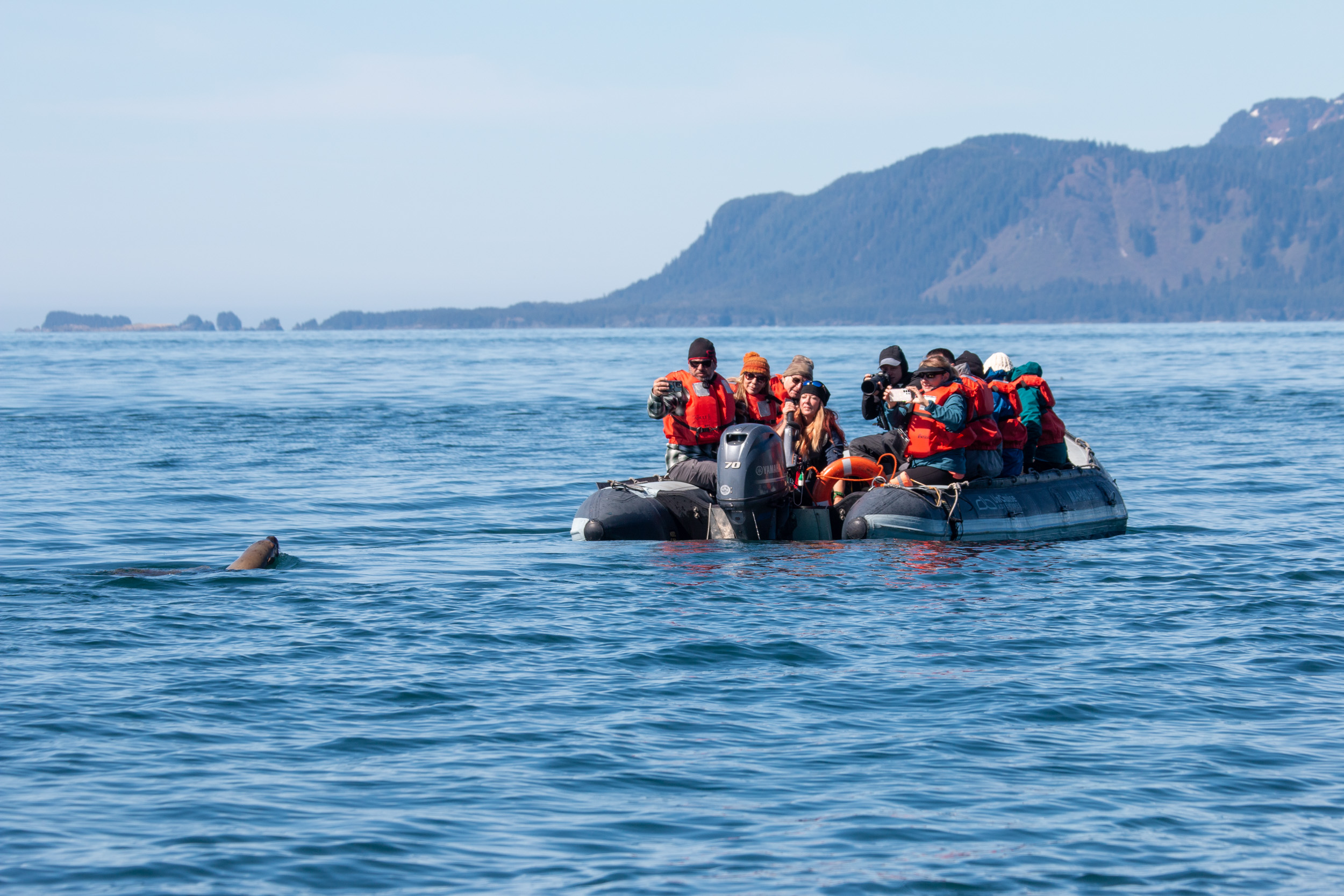 zodiac-small-craft-excursions-are-an-essential-part-of-every-small-ship-expedition-cruise