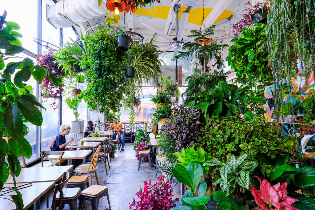 Yuko Kitchen Dtla Plants Interior