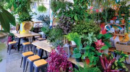 Yuko Kitchen Interior