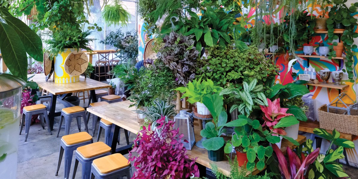 Yuko Kitchen Interior