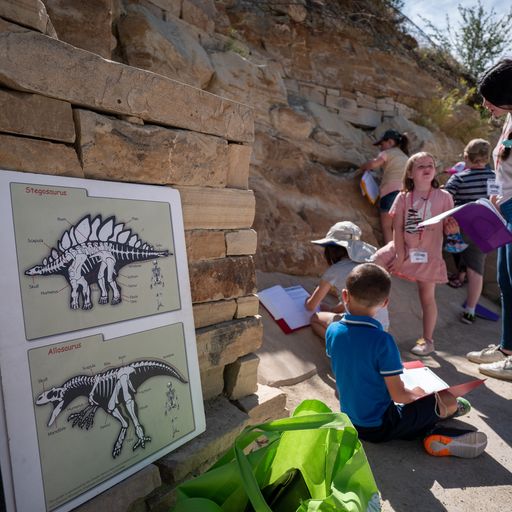 summer-campers-study-the-historic-quarry-where-the-worlds-first-stegosaurus-bone-fossils-were-excavated